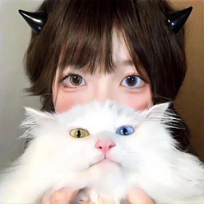 青春猪头少年不会梦到圣诞服女郎