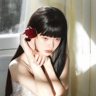 樱花树下的时间胶囊